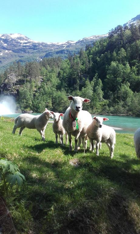 Vassbakken Kro Og Camping Skjolden Exteriör bild