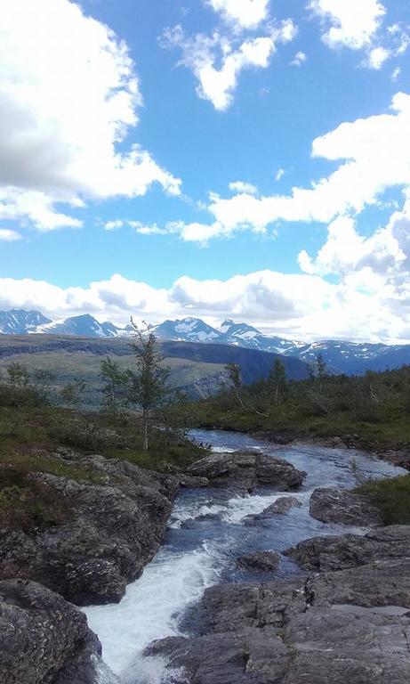 Vassbakken Kro Og Camping Skjolden Exteriör bild