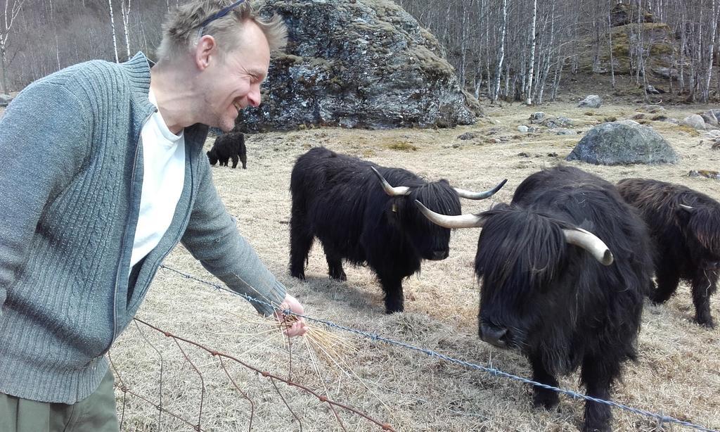 Vassbakken Kro Og Camping Skjolden Exteriör bild